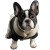 French Bulldog V7 Vinyl Car Decal Sticker – Waterproof & UV-Resistant 6.826666666666667"