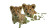 Asiatic Lion Cubs Vinyl Car Decal Sticker – Waterproof & UV-Resistant 5.4