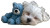 Sleeping Puppy Teddy V2 Vinyl Car Decal Sticker – Waterproof & UV-Resistant 5.4