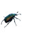 Moonlit Beetle Vinyl Car Decal Sticker – Waterproof & UV-Resistant 6.826666666666667"