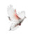 White Dove V5 Vinyl Car Decal Sticker – Waterproof & UV-Resistant 6.826666666666667"