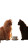 Cats At Cafe Vinyl Car Decal Sticker – Waterproof & UV-Resistant 4.8533333333333335"