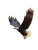 Majestic Bald Eagle V22 Vinyl Car Decal Sticker – Waterproof & UV-Resistant 8.213333333333333"