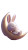 Sleeping Moon Bunny Vinyl Car Decal Sticker – Waterproof & UV-Resistant 4.8533333333333335"
