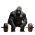 Gorilla Deadlifting Vinyl Car Decal Sticker – Waterproof & UV-Resistant 3.4133333333333336"