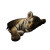 Sleeping Tiger Cub V2 Vinyl Car Decal Sticker – Waterproof & UV-Resistant 6.826666666666667"