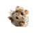 Panicking Hamster Rescue Vinyl Car Decal Sticker – Waterproof & UV-Resistant 6.826666666666667"