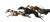 Greyhounds Jumping Vinyl Car Decal Sticker – Waterproof & UV-Resistant 2.