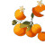 Orange Blossom Bunches Vinyl Car Decal Sticker – Waterproof & UV-Resistant 3.4133333333333336"