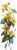 Yellow Vanilla Flowers Vinyl Car Decal Sticker – Waterproof & UV-Resistant 6.346666666666667"