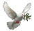 White Dove Olive Vinyl Car Decal Sticker – Waterproof & UV-Resistant 3.4133333333333336"