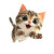 Happy Running Cat V3 Vinyl Car Decal Sticker – Waterproof & UV-Resistant 3.4133333333333336"
