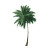 Minimalist Palm Tree Vinyl Car Decal Sticker – Waterproof & UV-Resistant 6.826666666666667"