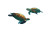 Underwater Reef Life Vinyl Car Decal Sticker – Waterproof & UV-Resistant 6.1866666666666665"