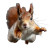 Jumping Squirrel V2 Vinyl Car Decal Sticker – Waterproof & UV-Resistant 6.826666666666667"