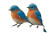 Colorful Garden Birds Vinyl Car Decal Sticker – Waterproof & UV-Resistant 3.0933333333333333"