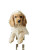 Cocker Spaniel Welcome Vinyl Car Decal Sticker – Waterproof & UV-Resistant 4.4