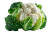 Fresh Cauliflower Broccoli Vinyl Car Decal Sticker – Waterproof & UV-Resistant 2.986666666666667"