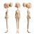 Olga Pixar Character Vinyl Car Decal Sticker – Waterproof & UV-Resistant 3.4133333333333336"