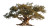 Palaver Tree Vinyl Car Decal Sticker – Waterproof & UV-Resistant 5.4