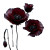 Red Poppy Field V2 Vinyl Car Decal Sticker – Waterproof & UV-Resistant 3.4133333333333336"