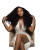 Hair Bundle Display V2 Vinyl Car Decal Sticker – Waterproof & UV-Resistant 4.0"