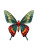 Vibrant Butterfly Specimen Vinyl Car Decal Sticker – Waterproof & UV-Resistant 8.213333333333333"