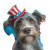 Cheerful Dog Celebration Vinyl Car Decal Sticker – Waterproof & UV-Resistant 3.4133333333333336"