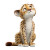 Cartoon Cheetah V2 Vinyl Car Decal Sticker – Waterproof & UV-Resistant 6.826666666666667"