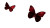 Red Butterflies Vinyl Car Decal Sticker – Waterproof & UV-Resistant 2.72"