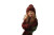 Christmas Portrait V4 Vinyl Car Decal Sticker – Waterproof & UV-Resistant 2.986666666666667"