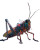 Mechanical Grasshopper Vinyl Car Decal Sticker – Waterproof & UV-Resistant 8.0"