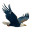 Soaring Eagle Art Vinyl Car Decal Sticker – Waterproof & UV-Resistant 3.4133333333333336"