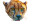 Intense Cheetah Stare Vinyl Car Decal Sticker – Waterproof & UV-Resistant 2.72"