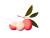 Cartoon Lychee Illustration Vinyl Car Decal Sticker – Waterproof & UV-Resistant 3.0933333333333333"