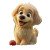 Golden Retriever Puppy V67 Vinyl Car Decal Sticker – Waterproof & UV-Resistant 6.826666666666667"
