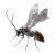 Strange Bee Vinyl Car Decal Sticker – Waterproof & UV-Resistant 3.4133333333333336"