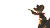 Cat Cowboy Showdown Vinyl Car Decal Sticker – Waterproof & UV-Resistant 2.72"