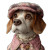 Beagle In Outfit Vinyl Car Decal Sticker – Waterproof & UV-Resistant 6.826666666666667"
