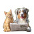 Puppy Delivers Newspaper Vinyl Car Decal Sticker – Waterproof & UV-Resistant 3.4133333333333336"