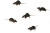 Rats Editorial Vinyl Car Decal Sticker – Waterproof & UV-Resistant 5.97333333333333