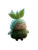 Fluffy Leaf Creature V2 Vinyl Car Decal Sticker – Waterproof & UV-Resistant 4.1066666666666665"