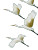 White Cranes Flying V6 Vinyl Car Decal Sticker – Waterproof & UV-Resistant 4.16"