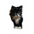 Fluffy Tuxedo Kitten Vinyl Car Decal Sticker – Waterproof & UV-Resistant 6.826666666666667"
