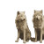 Curtis Styled Wolves Vinyl Car Decal Sticker – Waterproof & UV-Resistant 6.826666666666667"