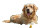 Happy Golden Retriever V42 Vinyl Car Decal Sticker – Waterproof & UV-Resistant 2.72"