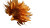 Glowing Sunflower Growth Vinyl Car Decal Sticker – Waterproof & UV-Resistant 2.72"