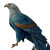 Majestic Bird Of Prey Vinyl Car Decal Sticker – Waterproof & UV-Resistant 3.4133333333333336"