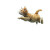 Ginger Cat Chasing Vinyl Car Decal Sticker – Waterproof & UV-Resistant 6.826666666666667"