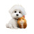 Cute Animal Friends Vinyl Car Decal Sticker – Waterproof & UV-Resistant 6.826666666666667"